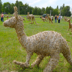 Kaengurus aus stroh in schoenwalde