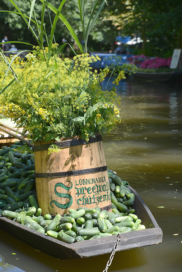 Kahnkorso beim Lübbenauer Spreewald- und Schützenfest vom 3. bis 6. Juli 2014. Foto: Silvano Procopius