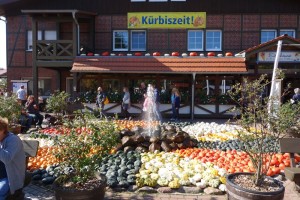 Kürbisausstellung Berlin-Brandenburg