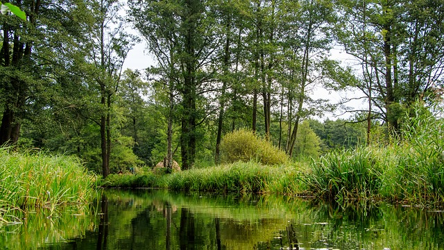 Kanal im Spreewald