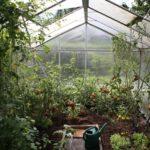 bepflanztes Gartengewächshaus